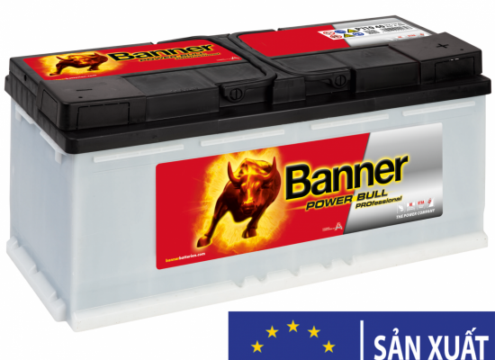 Ắc Quy BANNER PRO P110 40
